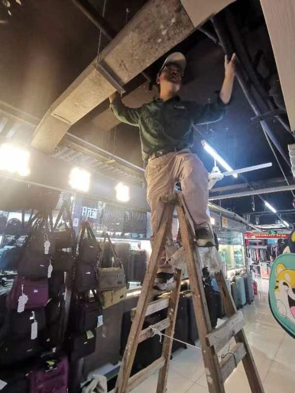 夏季除四害，錢江在行動